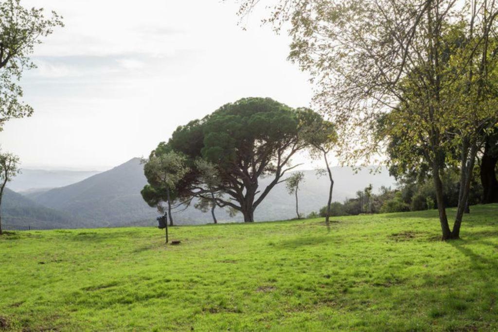 Finca Montemateo Navahermosa  ภายนอก รูปภาพ